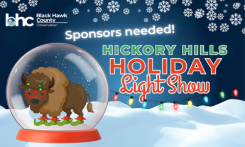 Graphic of bison with elf shoes and christmas glasses.