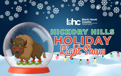 Holiday Light Show graphic with buffalo in an elf costume within a snow globe.